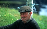 Old Irish Man